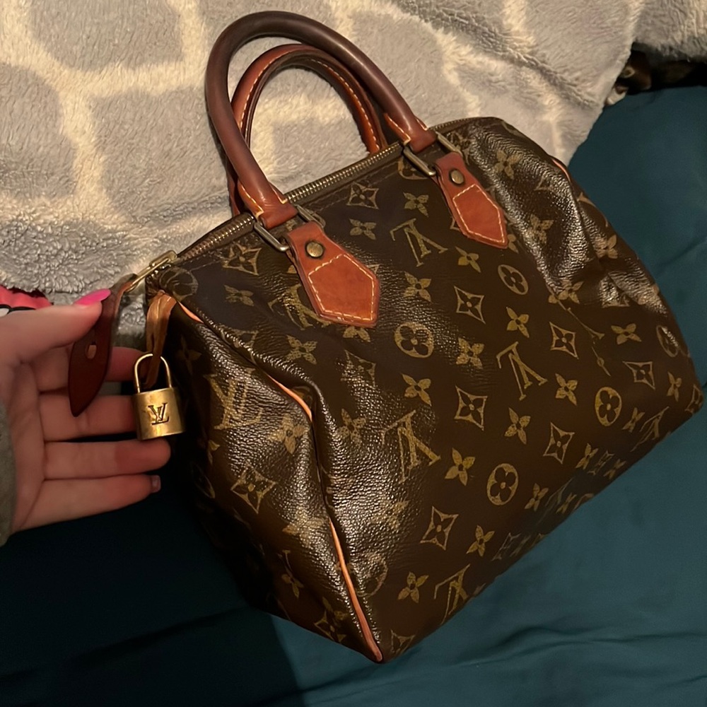 Louis Vuitton small bag